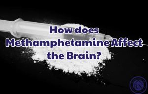 How does Methamphetamine Affect the Brain-