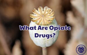The Different Kinds of Drugs