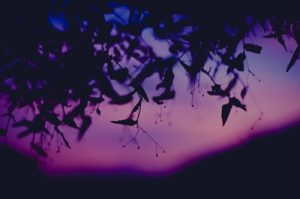 Can Suboxone Get You High