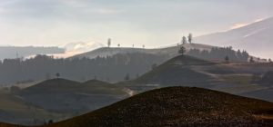 Is Diazepam a Narcotic