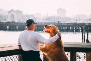 Are Dogs Good Alternative Therapy For Addiction Treatment